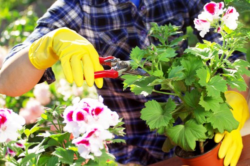 Community gardener working with raised beds in Bermondsey