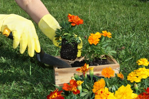 Sustainable garden solutions by Gardeners Bermondsey